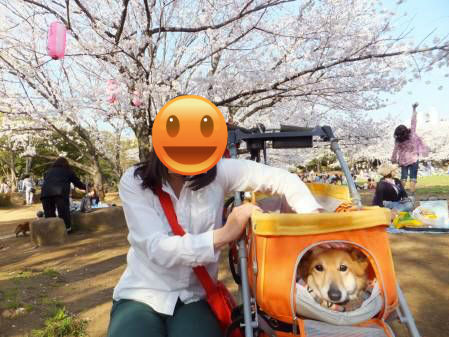 20140401519