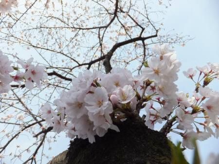 20140401505