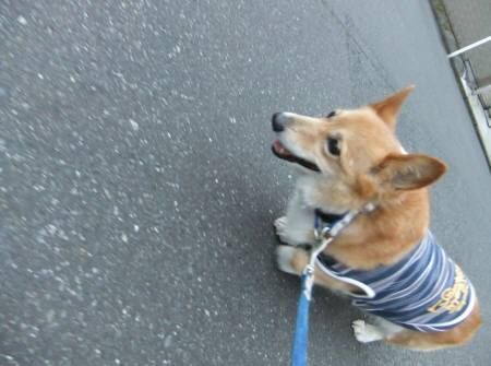 2011.07.31-02