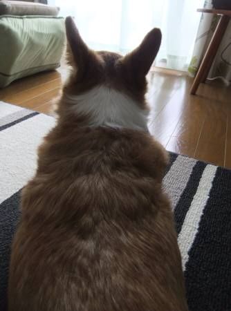 2011.11.27-04