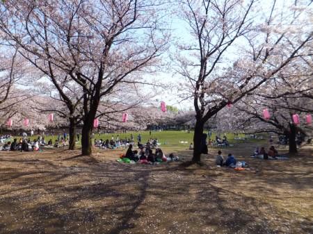 2014040714