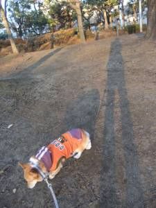 2010.12.31-04