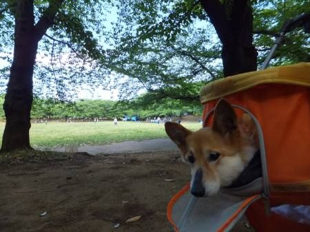 2014051703