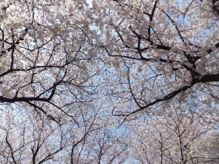 20140401508