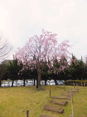 2013033002