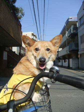 2011.03.28-11
