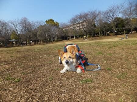 2014022608
