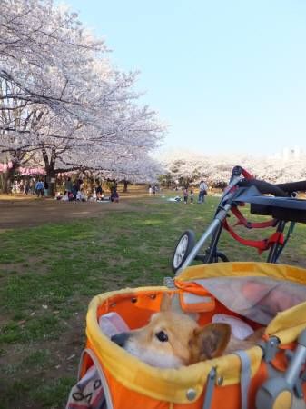 20140401521
