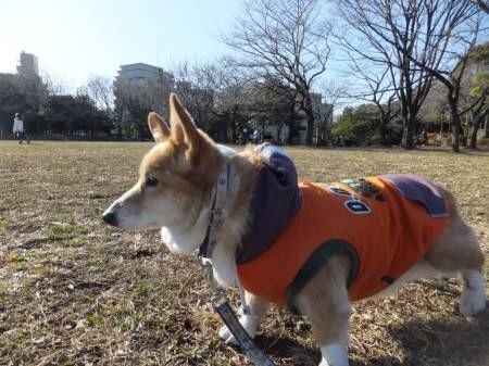 2011.12.31-04