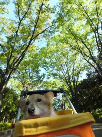 2013042802