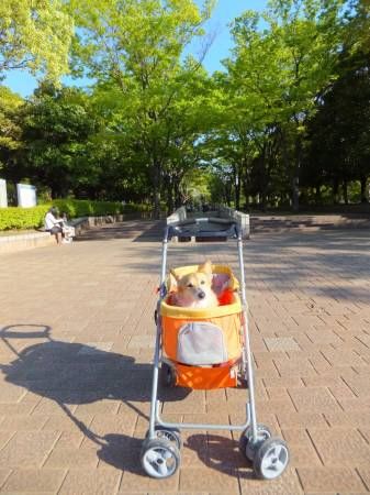 2013042801