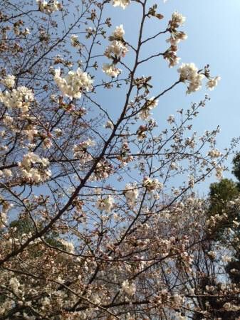 20140328056