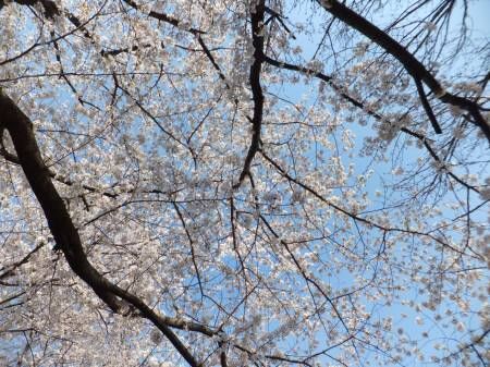 20140401515