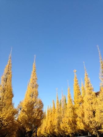 2013112703