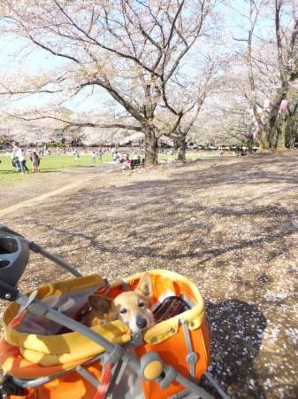 2014040708