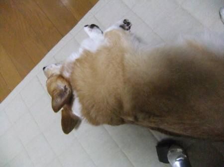 2011.07.29-03