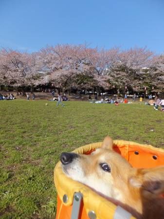 2014040711