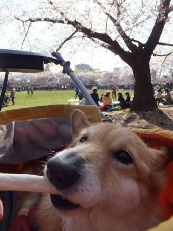 2014040713