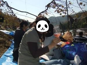 2010.11.21-11