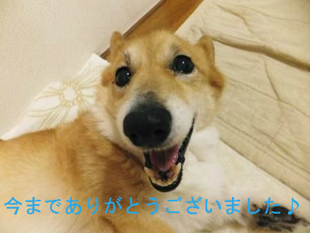 2014082703