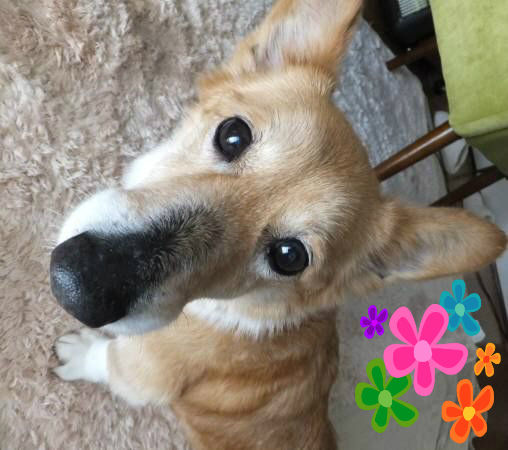 2013033026