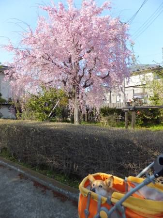 20140407901