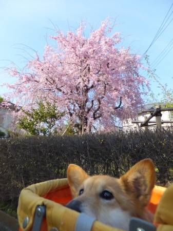 20140407902
