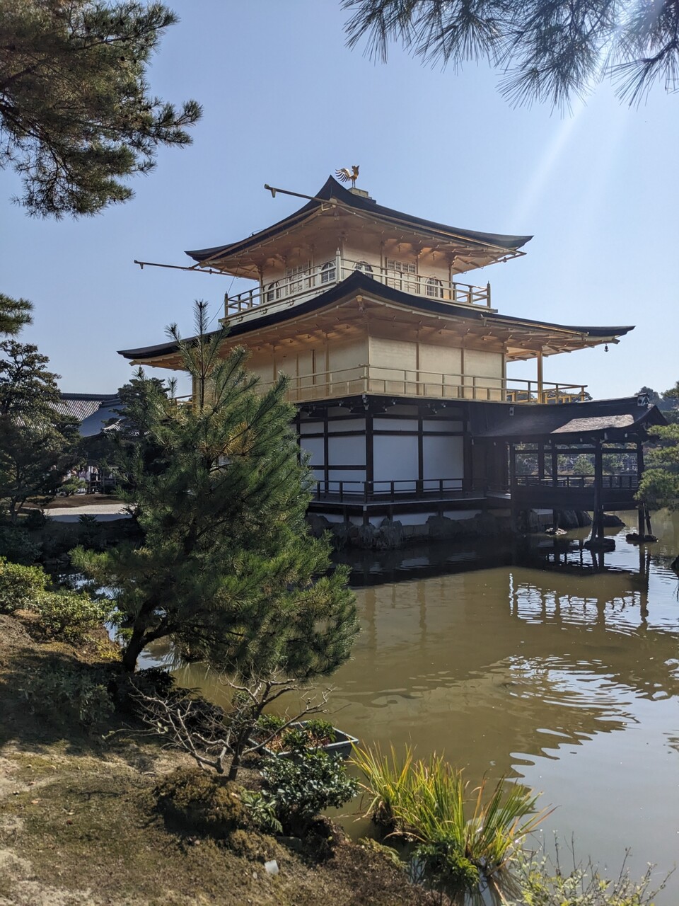 金閣寺 チビちゃん初京都 金閣寺からソワレへの道③～金閣寺②～ : okiraku room