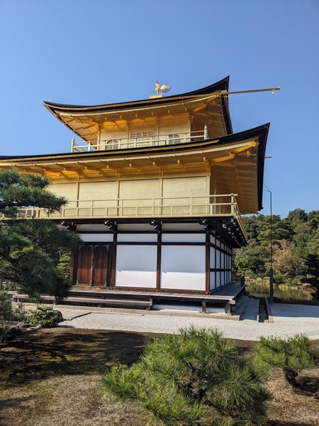 金閣寺 チビちゃん初京都 金閣寺からソワレへの道③～金閣寺②～ : okiraku room