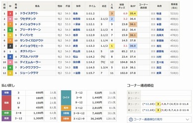 ドライスタウト優勝!