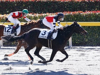 エメラルディ 2月