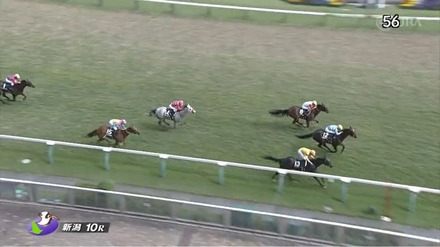 オルダージュ優勝!
