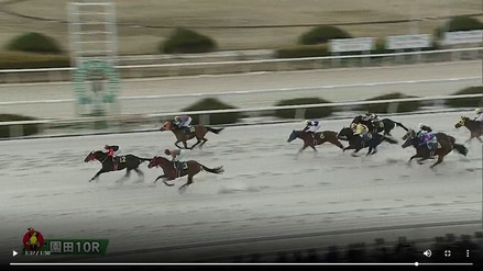 シエルブルー優勝