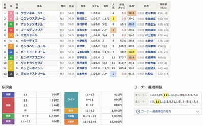 ラヴィネルージュ優勝