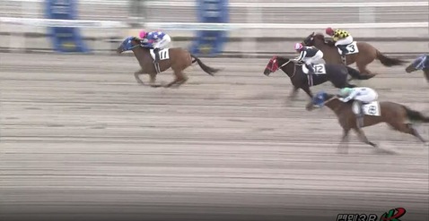 ラヴィネルージュ優勝!