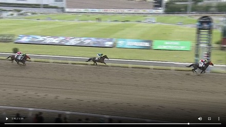 ハルモニア優勝!