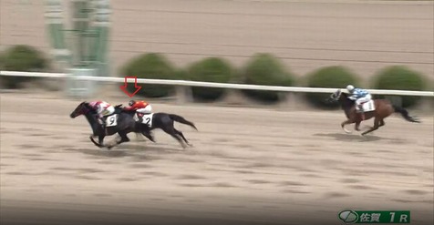 ハルモニア2着