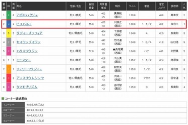 ビスバルト2着