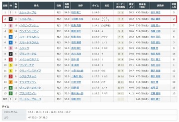 シエルブルー2着3位入線