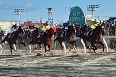 川崎競馬ビスバルト５着20240104_152619 (002)