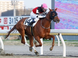 ラインオブフェイト3月