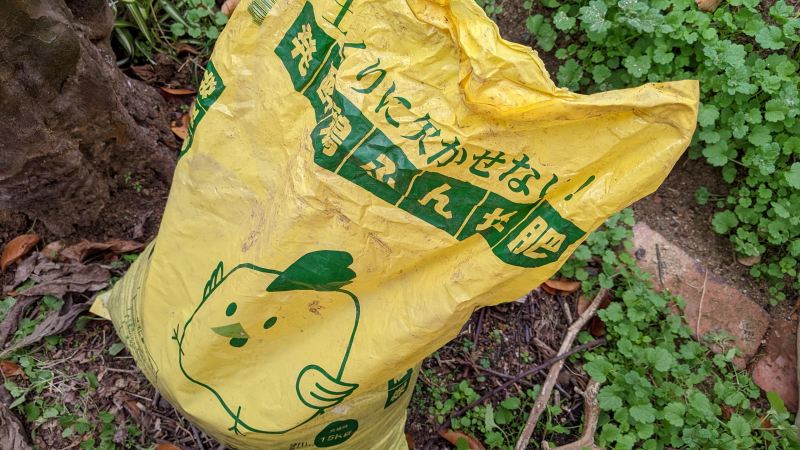 菊芋の収穫と種芋の植え付け プランターでの保管方法 キクイモ ひまチュンの機械ブログ