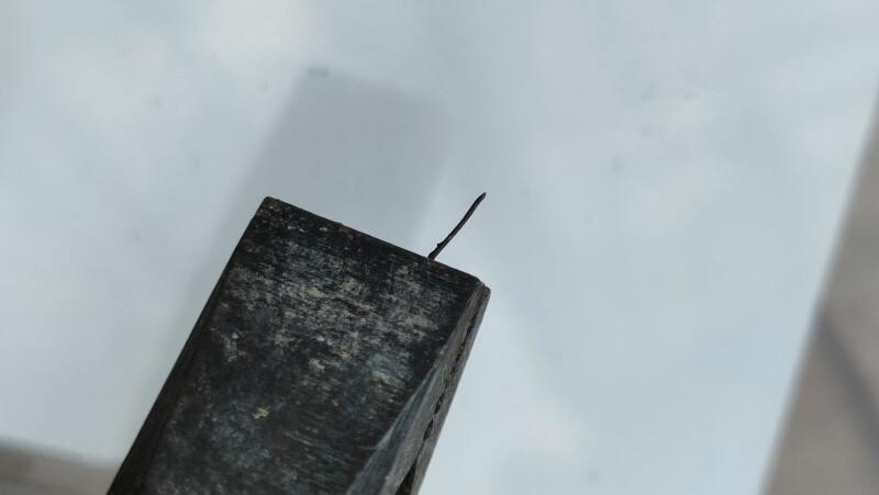 IMG20260211160656