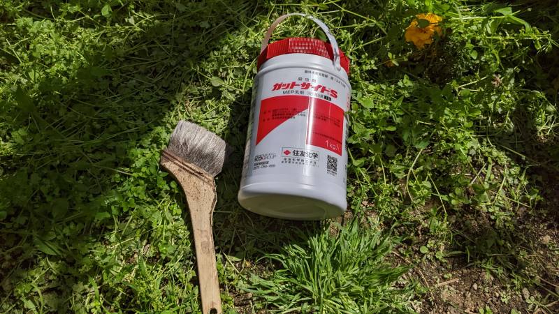 ガットサイドsを使ったイチジクの害虫防除と塗布時期 カミキリムシ類 キクイムシ類 ひまチュンの機械ブログ