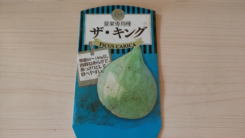 IMG20240913073819