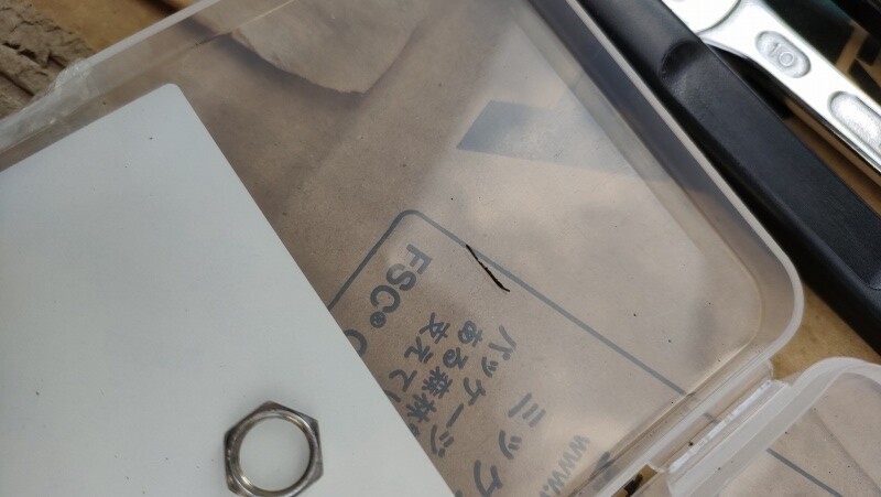 IMG20260211154855