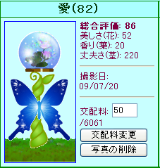 信じられない植物 ガーデン