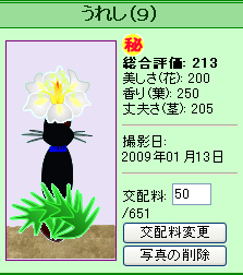 信じられない植物 ガーデン