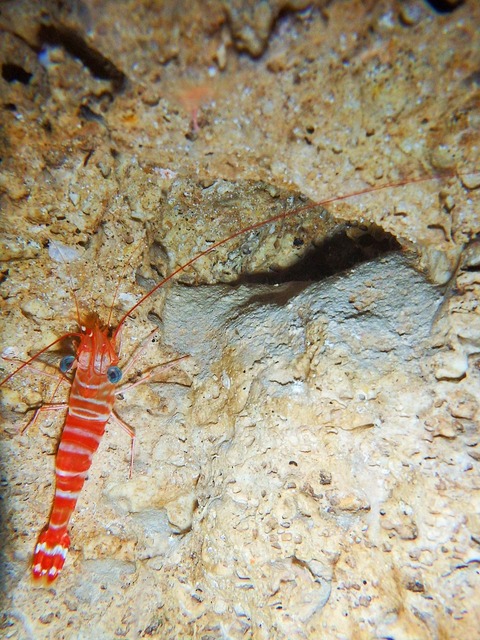 P7140056