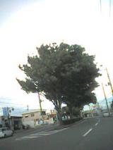389a2e5e.jpg